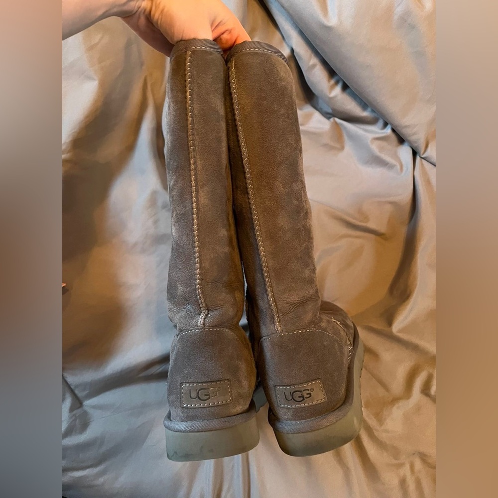 grey tall uggs
